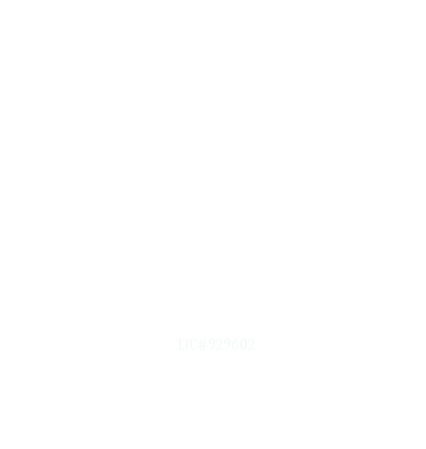 MTR Construction